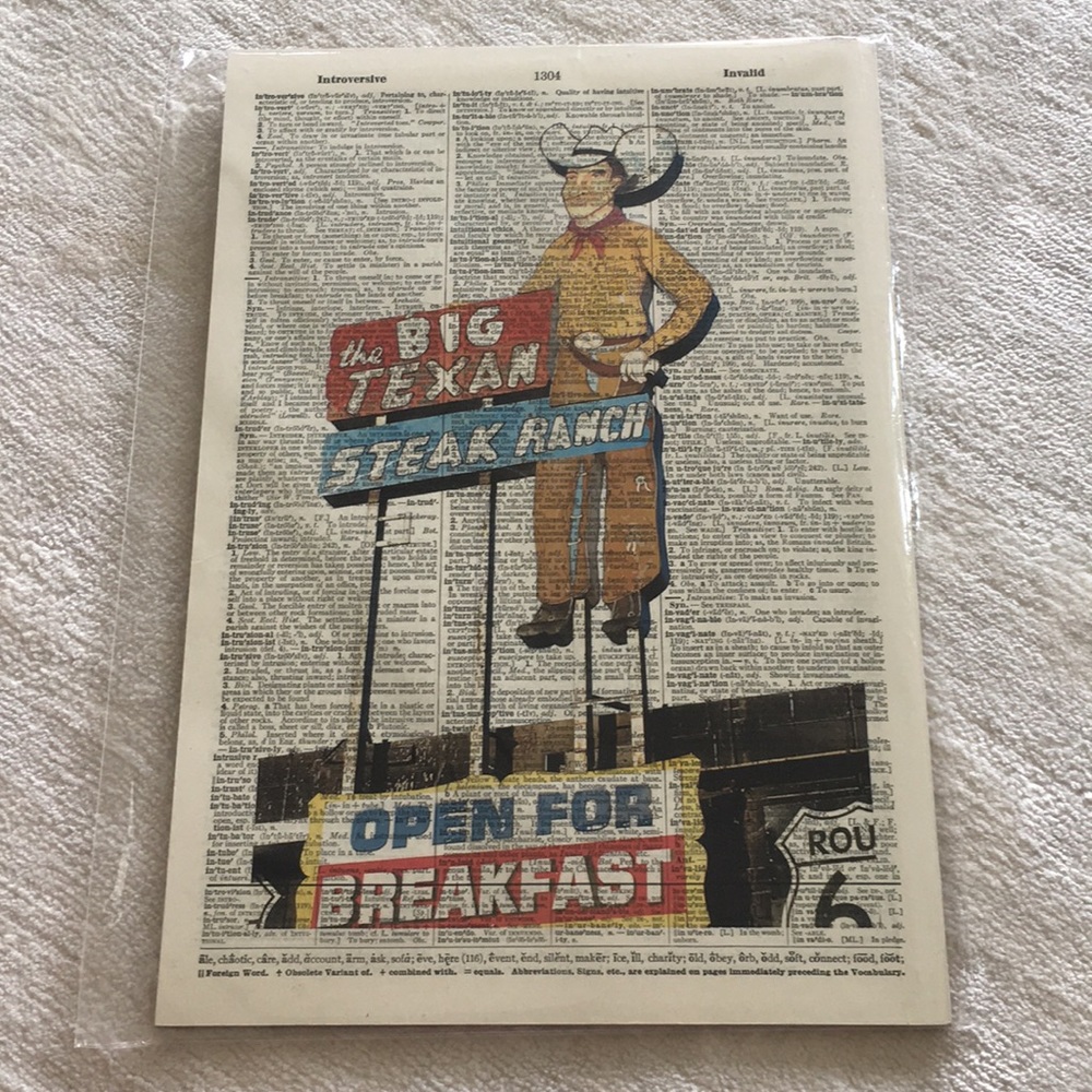 NWT Vintage Dictionary Art